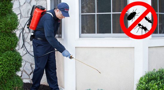 Mucur Hamam Böceği İlaçlama böcek ilaçlama ve haşere kontrolü — ilaclama-tr.com